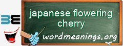 WordMeaning blackboard for japanese flowering cherry